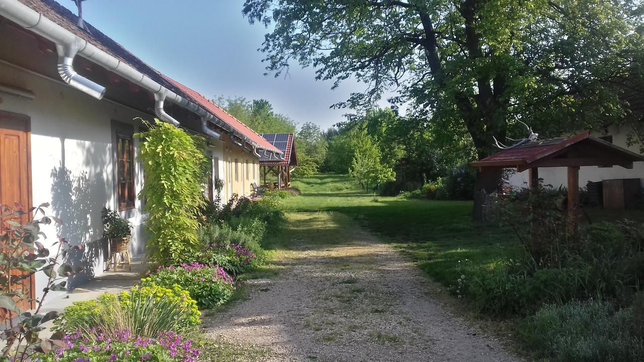 Готель Rigofuetty Vendeghaz Tiszaalpar Екстер'єр фото